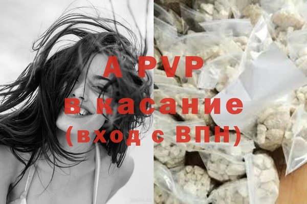 MESCALINE Богданович