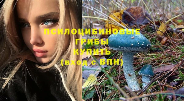 соль курить ск Богородск