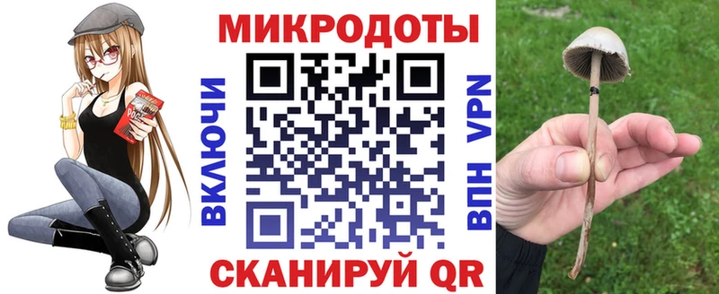 Псилоцибиновые грибы Psilocybe  Воркута 
